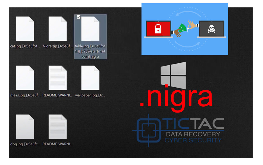 Nigra Ransomware Decryption Recovery Apokriptografisi